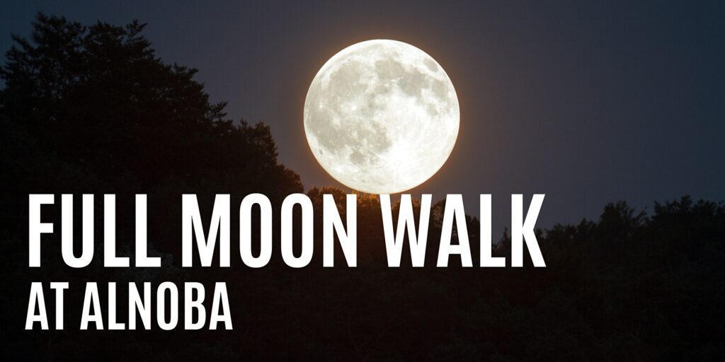 Full Moon Walk: Strawberry Moon