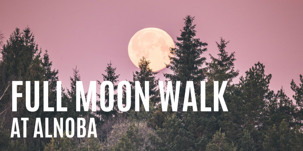 Full Moon Walk: Buck Moon