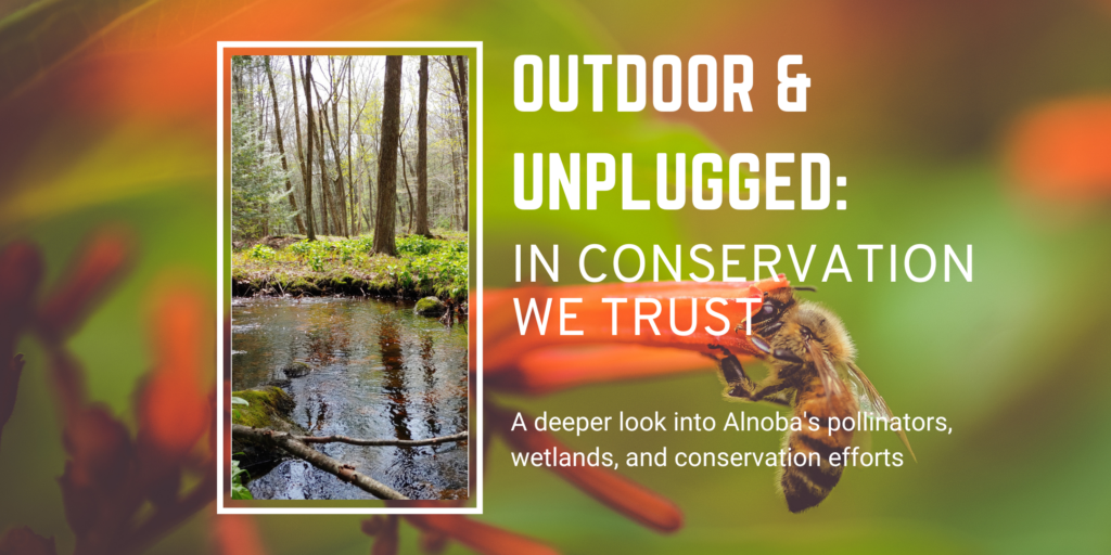 Outdoor & Unplugged: In Conservation We Trust
