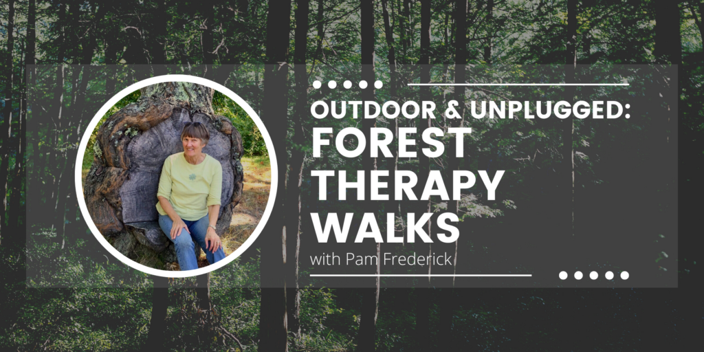 Outdoor & Unplugged: Forest Therapy Walks