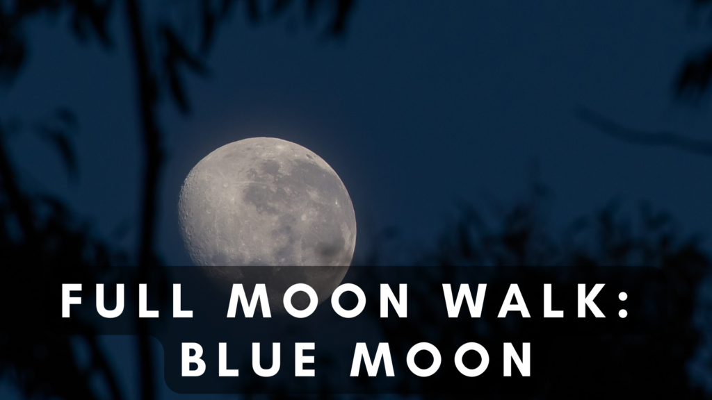 Full Moon Walk: Blue Moon