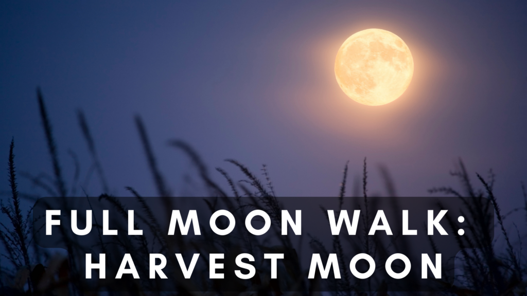 Full Moon Walk: Harvest Moon