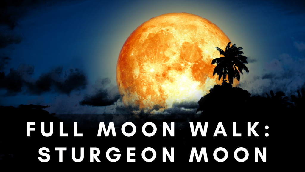 Full Moon Walk: Sturgeon Moon