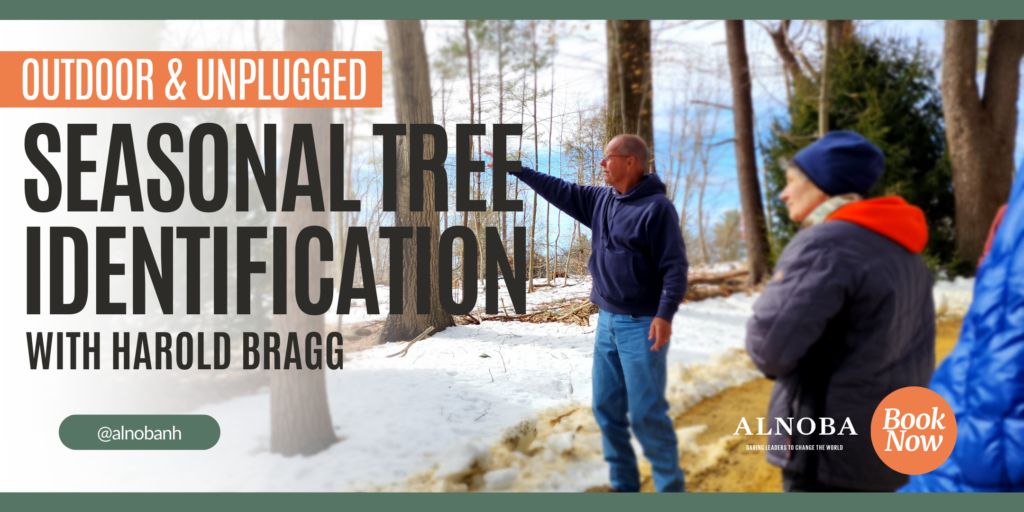 Outdoor & Unplugged: Seasonal Tree Identification