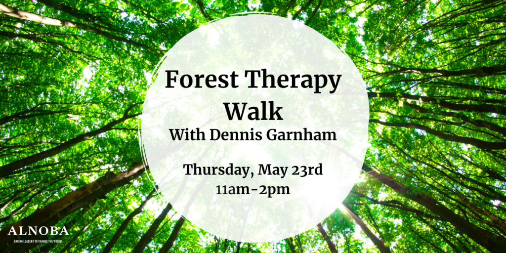 Forest Therapy Walk With Dennis Garnham